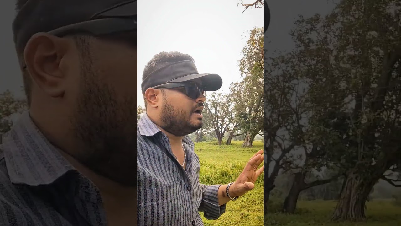 अच्छा लगा देख कर 😀🙏 Chhapra wali mata mandla Hirdenagar / छपरा वाली माता हिरदेनगर मंडला 🚩