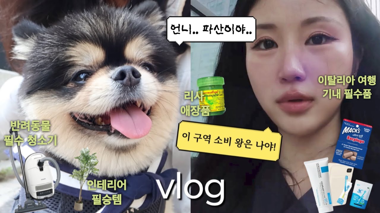 VLOG | 소비중독 30대 직장인 일상🔥 | 빈티지 아이폰 추천 | 강아지 허슈키랑 노는 브이로그 | 이탈리아 꿀템 박살냄📦+ 밀러 C3 리뷰🧳