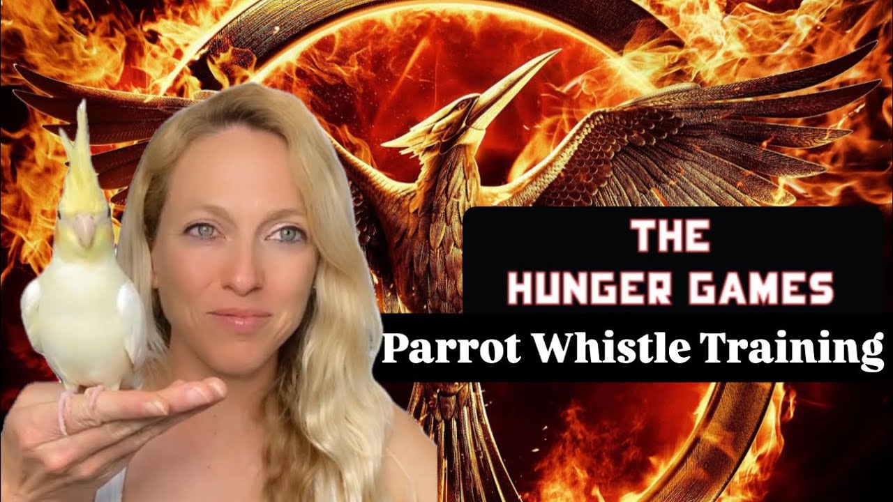 The Hunger Games ~ Parrot Whistle Training