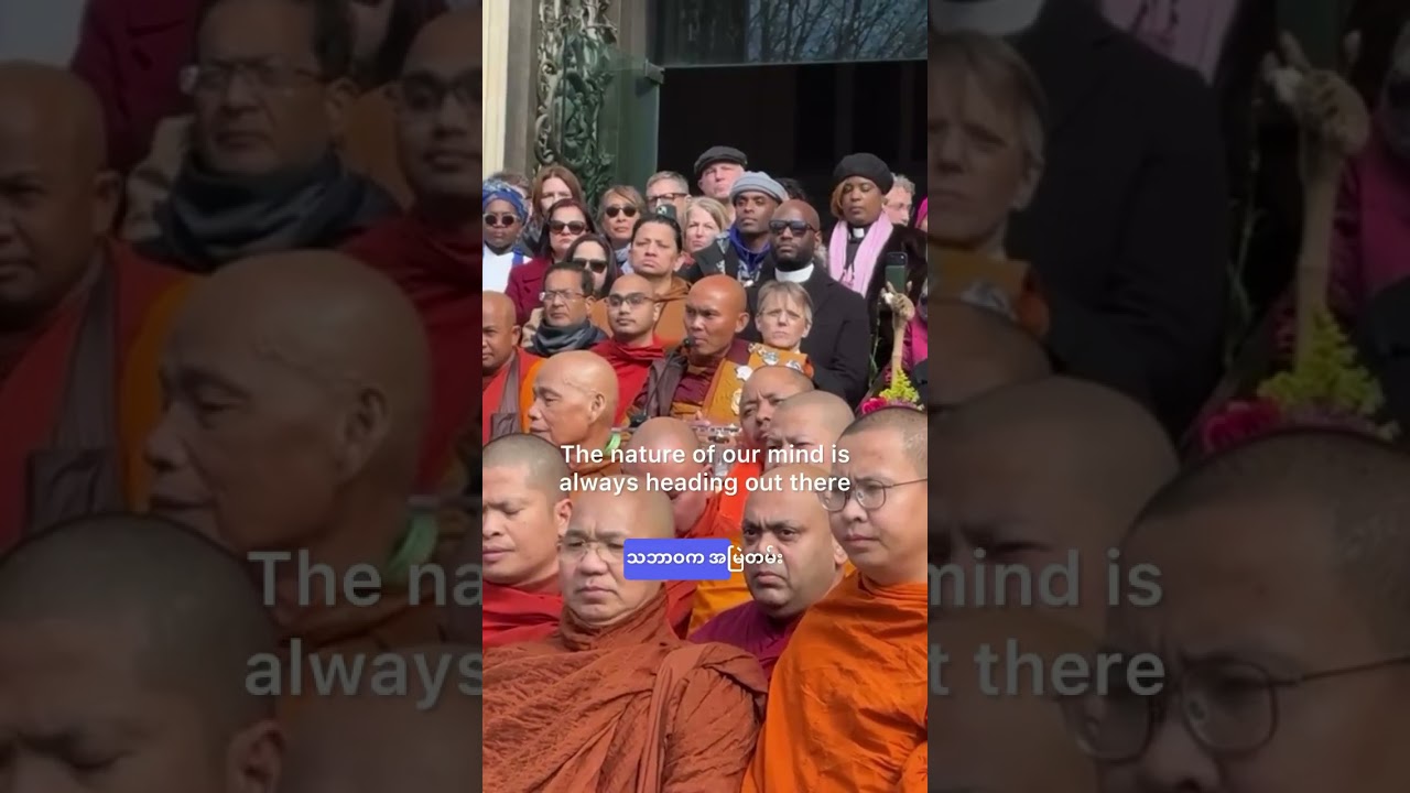 🕊️Walk for peace 🙏🙏🙏part#2