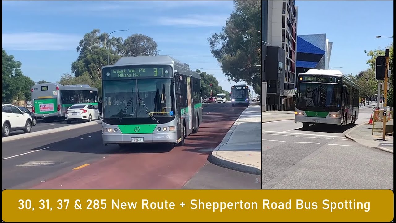 Armadale/Thornlie Line Shutdown Bus Changes Part 4 (30, 31, 37, 285) & Shepperton Rd Bus Spotting
