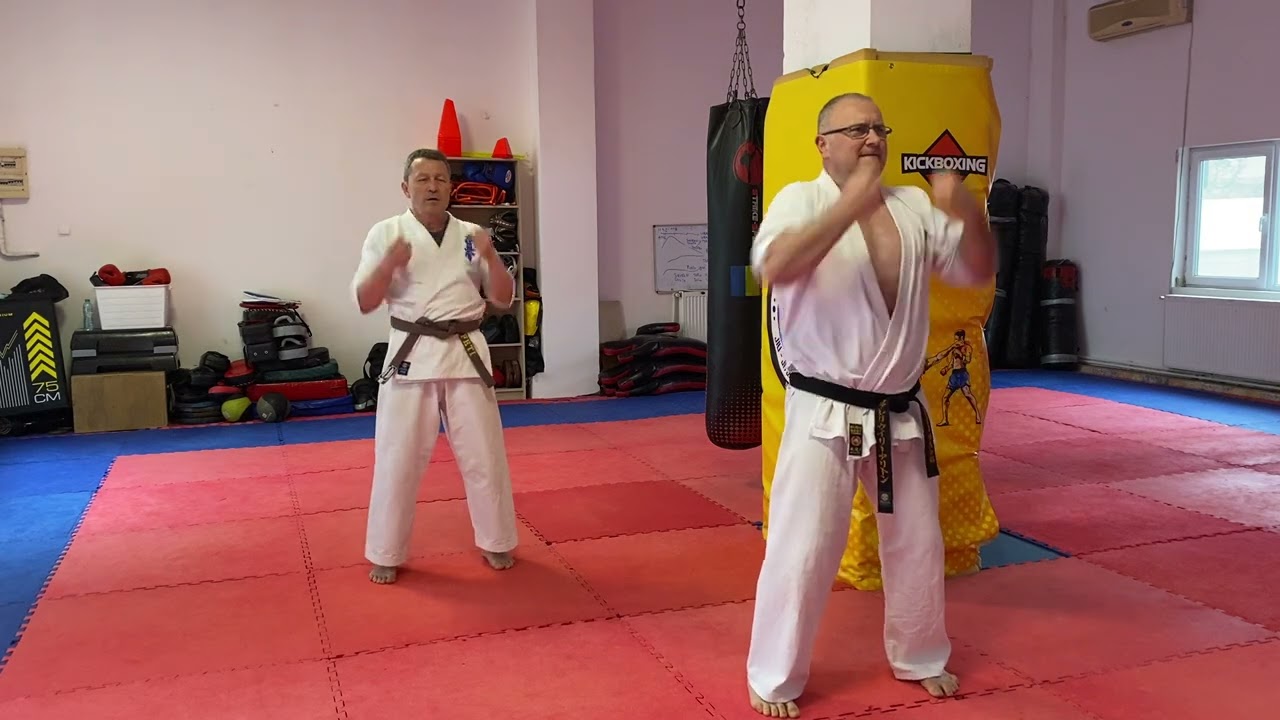 1000 steps to Black belt- step 2 - Renraku , morote Tsuki Jodan, Chudan, gedan ( heiko dachi)