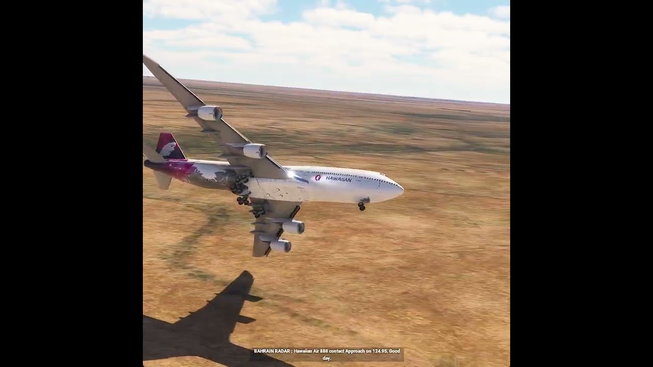 the carelessness of an airplane pilot 0220