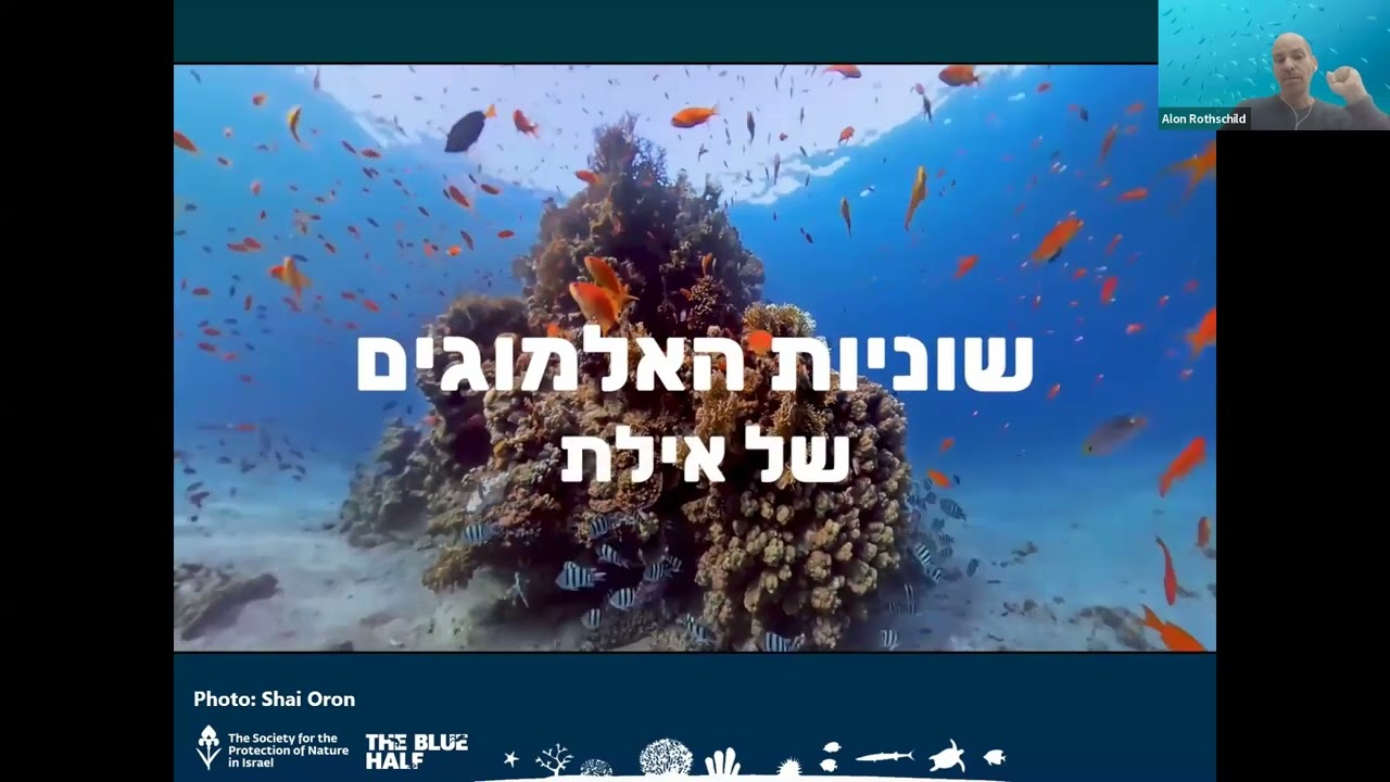 SPNI Webinar: Marine Animal Forests: A Dive Into Israel’s Underwater Ecosystems [January 11 2026]