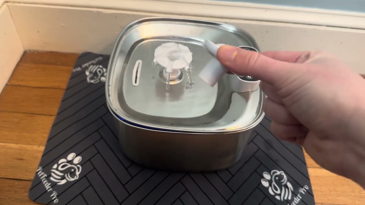 See The Features Of This Pet Fountain!