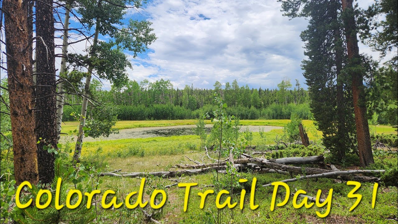 Colorado Trail Day 31 ( Tentsite to Angel of Shavano Trailhead) 236.5 - 245.4《 54.5 - 63.1 》mileage 