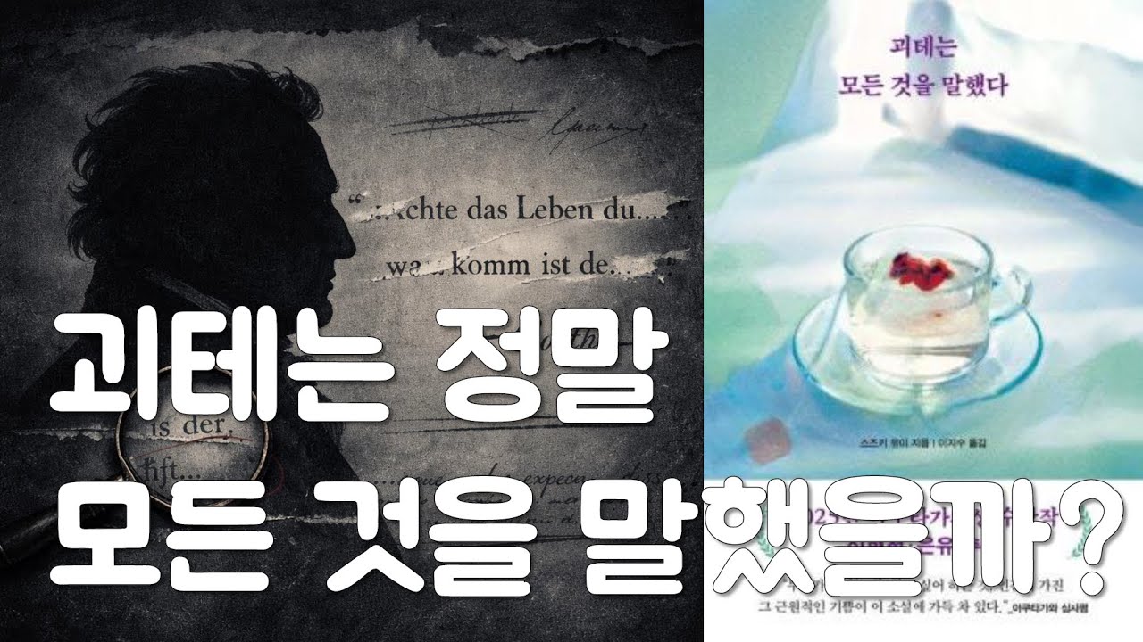 스즈키 유이 - 괴테는 모든 것을 말했다 리뷰 / 아쿠타가와상이 선택한 ‘명언의 진실’ 『괴테는 모든 것을 말했다』 완벽 해설