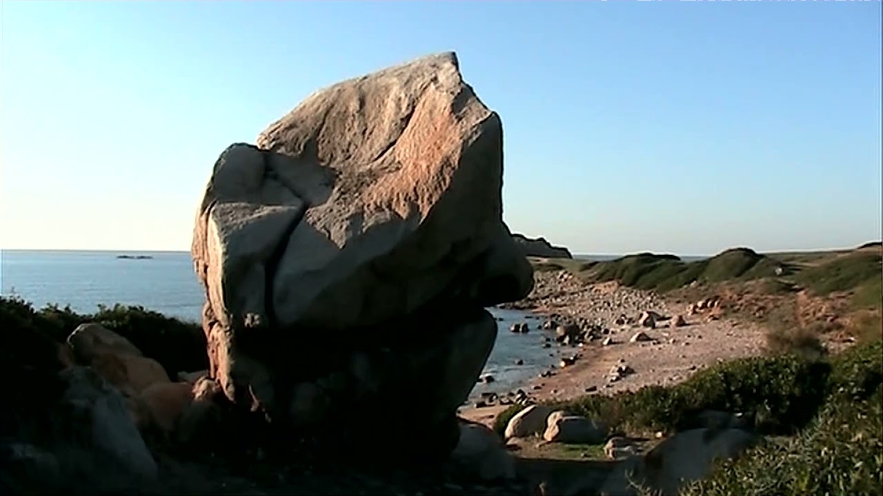 CAPO PECORA (ARBUS)