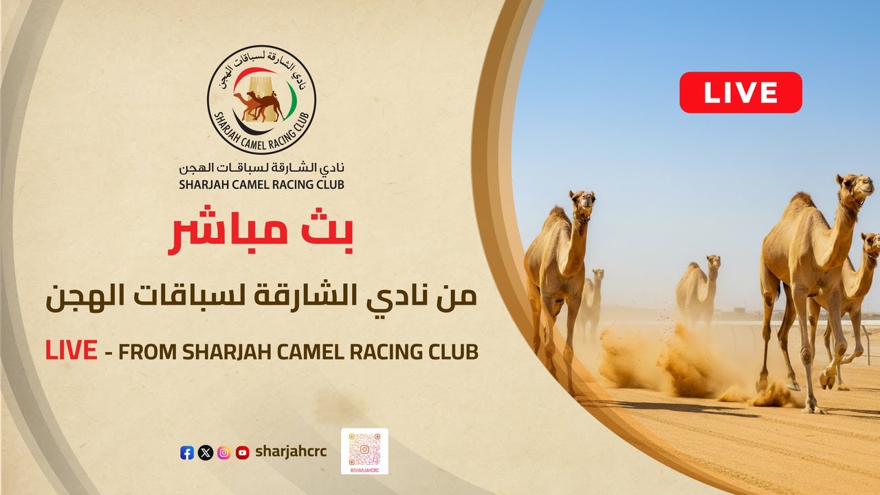 بث مباشر- نادي الشارقة لسباقات الهجن.  شارة الديوان(9) لسن الحول والزمول. صباح الأحد 25/1/2026