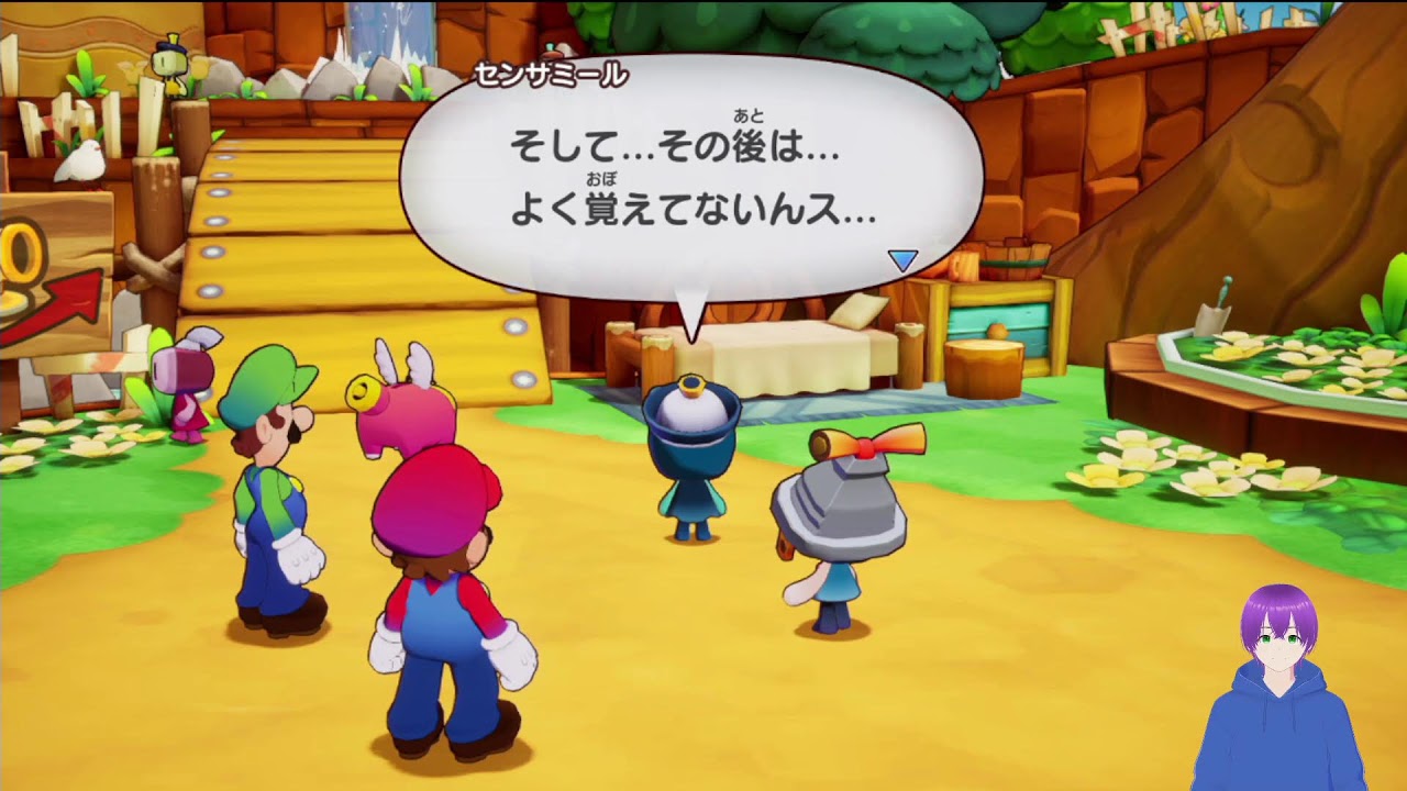 だらっとのんびりマリルイブラップのんびり作業やってくほぼ雑枠＃１【マリオ＆ルイージRPG ブラザーシップ！】