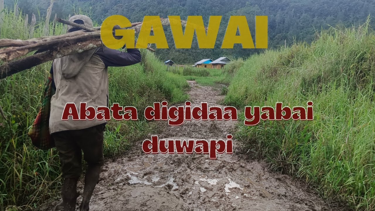 Gowai Terbaru: Abata digidaa Yabai Duwapii
