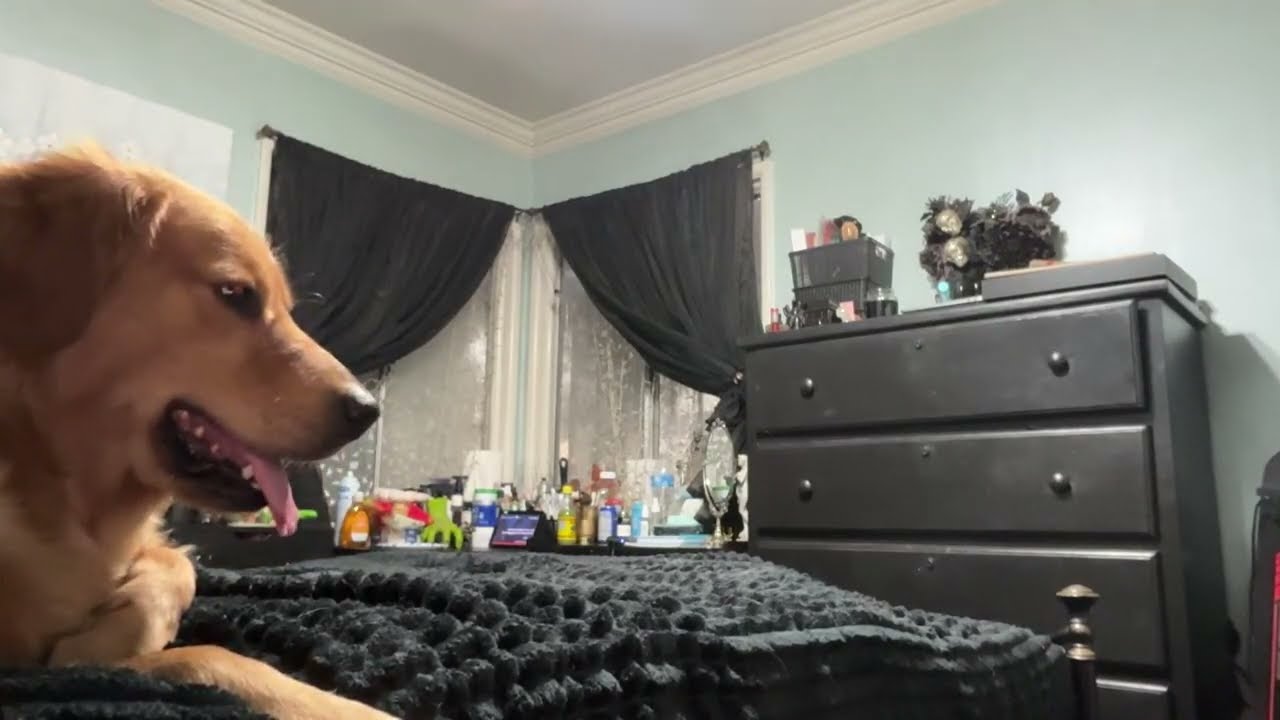 Bruce & Shiloh is live!