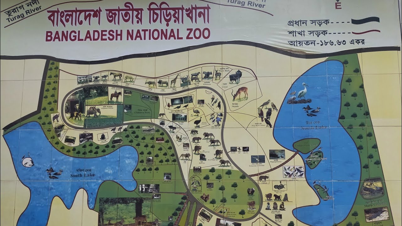National zoo in Natural View || Full HD Natural View