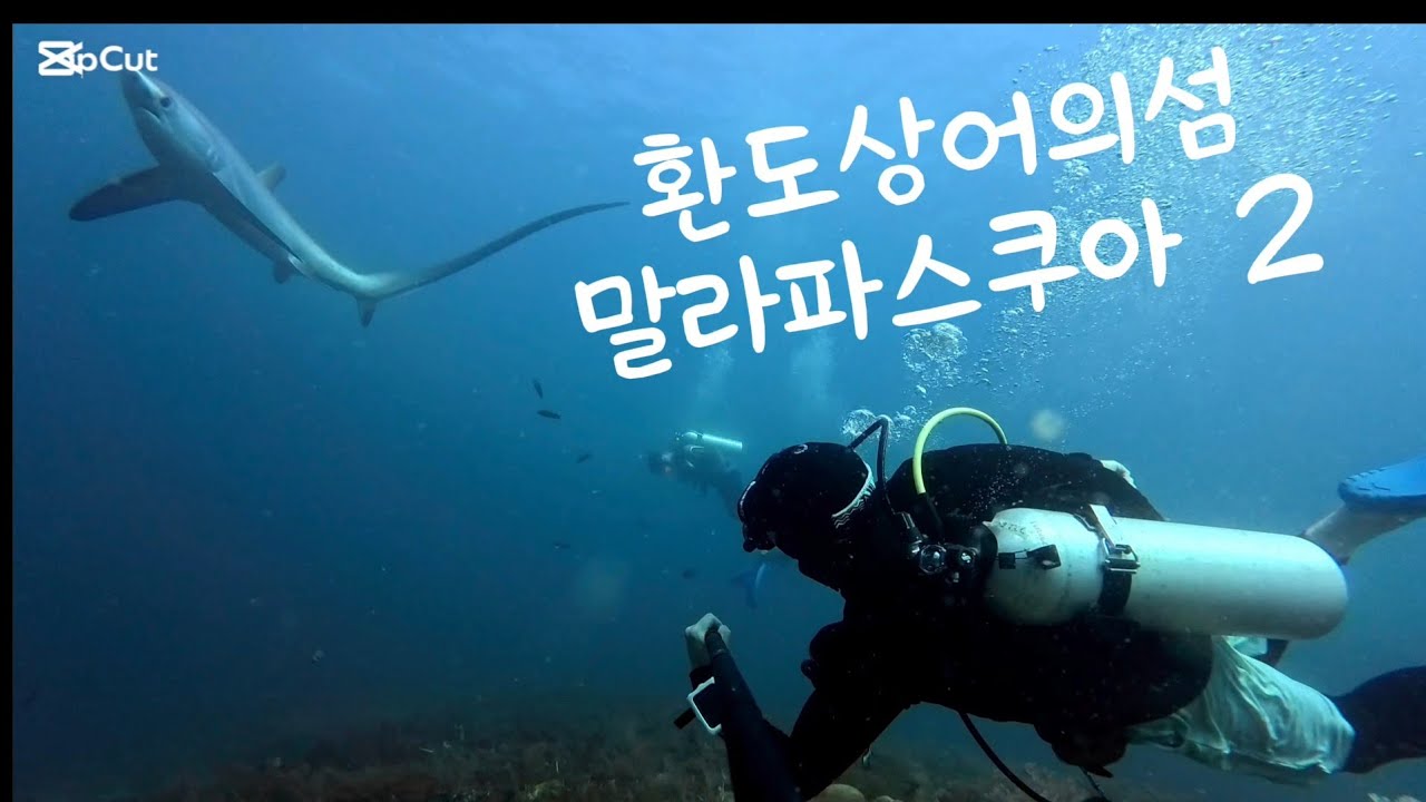 2026 말라파스쿠아2#환도상어#가토섬#말리파스쿠아