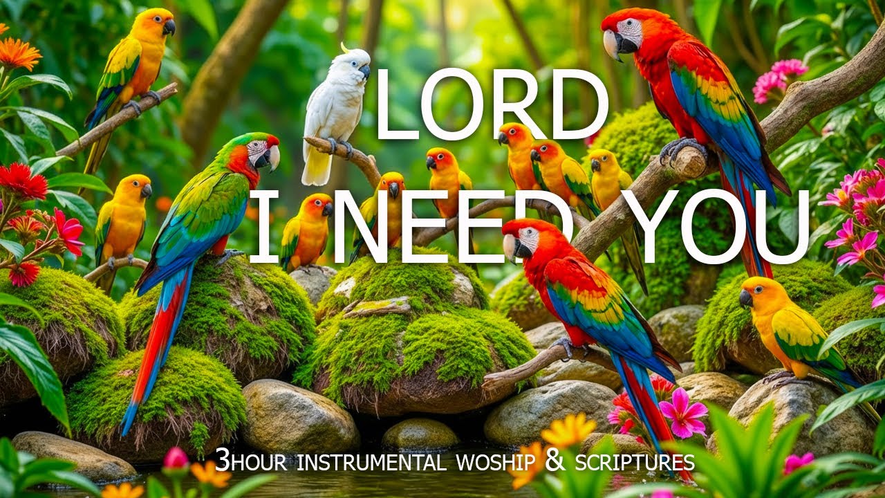 I Need You, Lord : 11 Hour With the Holy Spirit / Soothing Worship Piano & Powerful Bible Verses