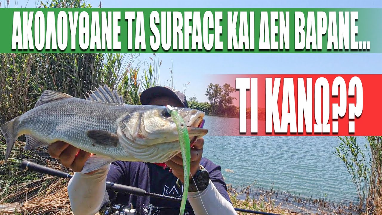 SURFACE & «ΨΙΛΙΑΣΜΕΝΑ» ΛΑΒΡΑΚΙΑ ΠΟΥ ΑΠΛΑ ΑΚΟΛΟΥΘΟΥΝ- ΠΩΣ ΤΑ ΠΙΑΝΩ🤔ΨΑΡΕΜΑ SPINNING