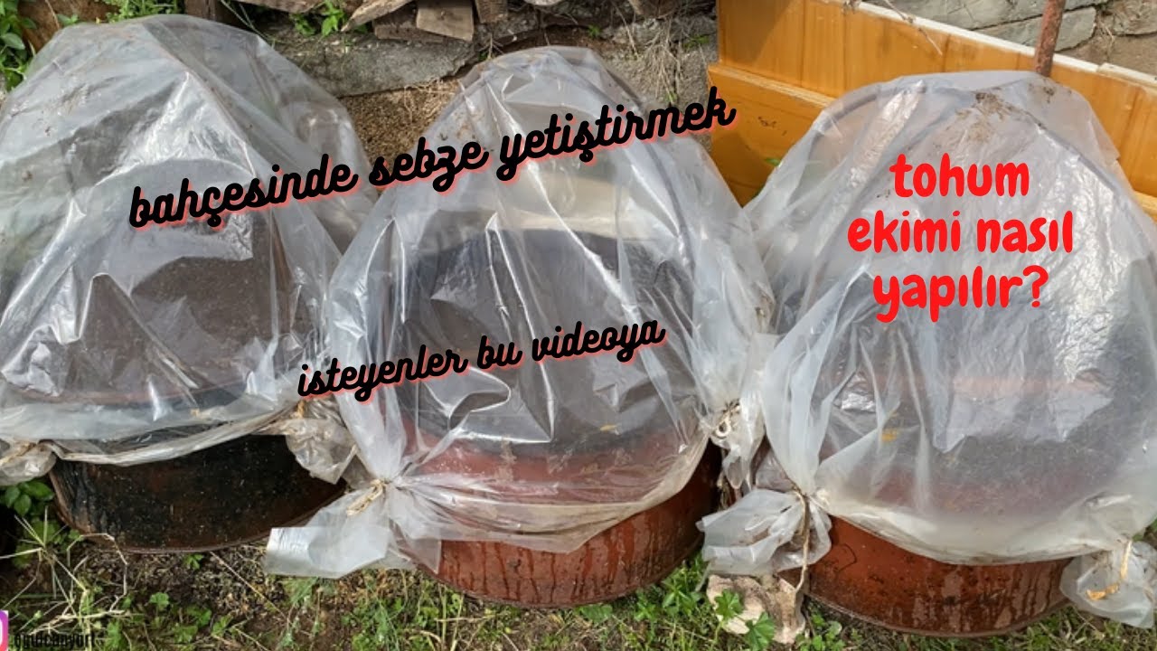 SUBAT AYI TOHUM EKIMI NASIL YAPILIR?-annemin bahçesini gezdik :)