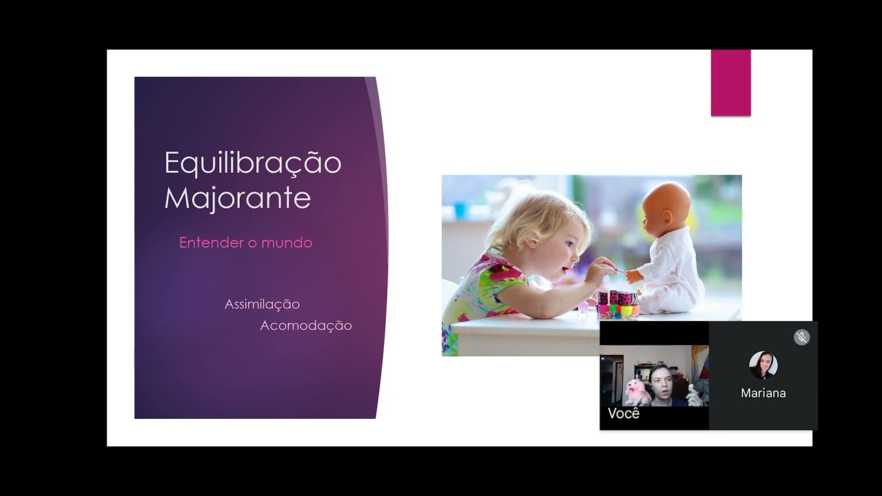 Psicologia da Educa&ccedil;&atilde;o - Psicologia do Desenvolvimento | Equilibra&ccedil;&atilde;o Majorante