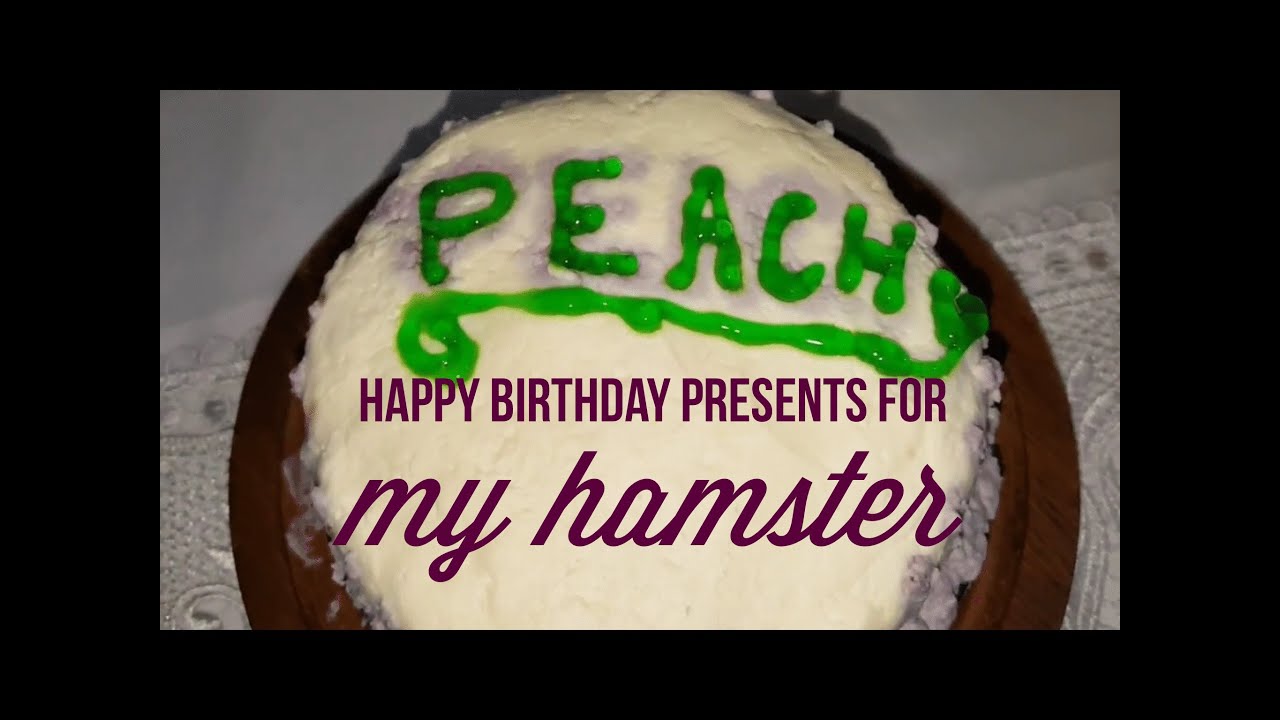 Presents for Peachy - Hamster Birthday Party with Jellybean Joy!