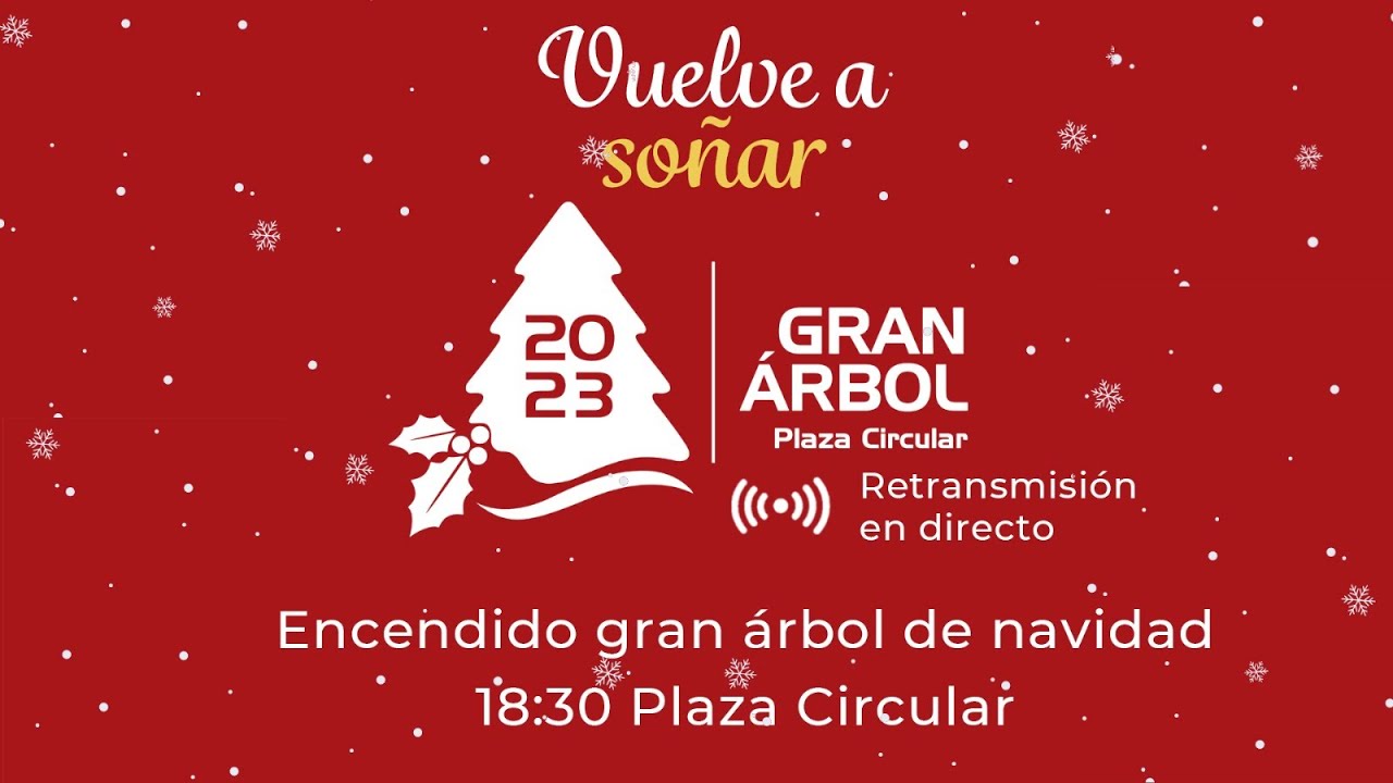 ENCENDIDO DEL GRAN ÁRBOL DE NAVIDAD DE MURCIA 🎄