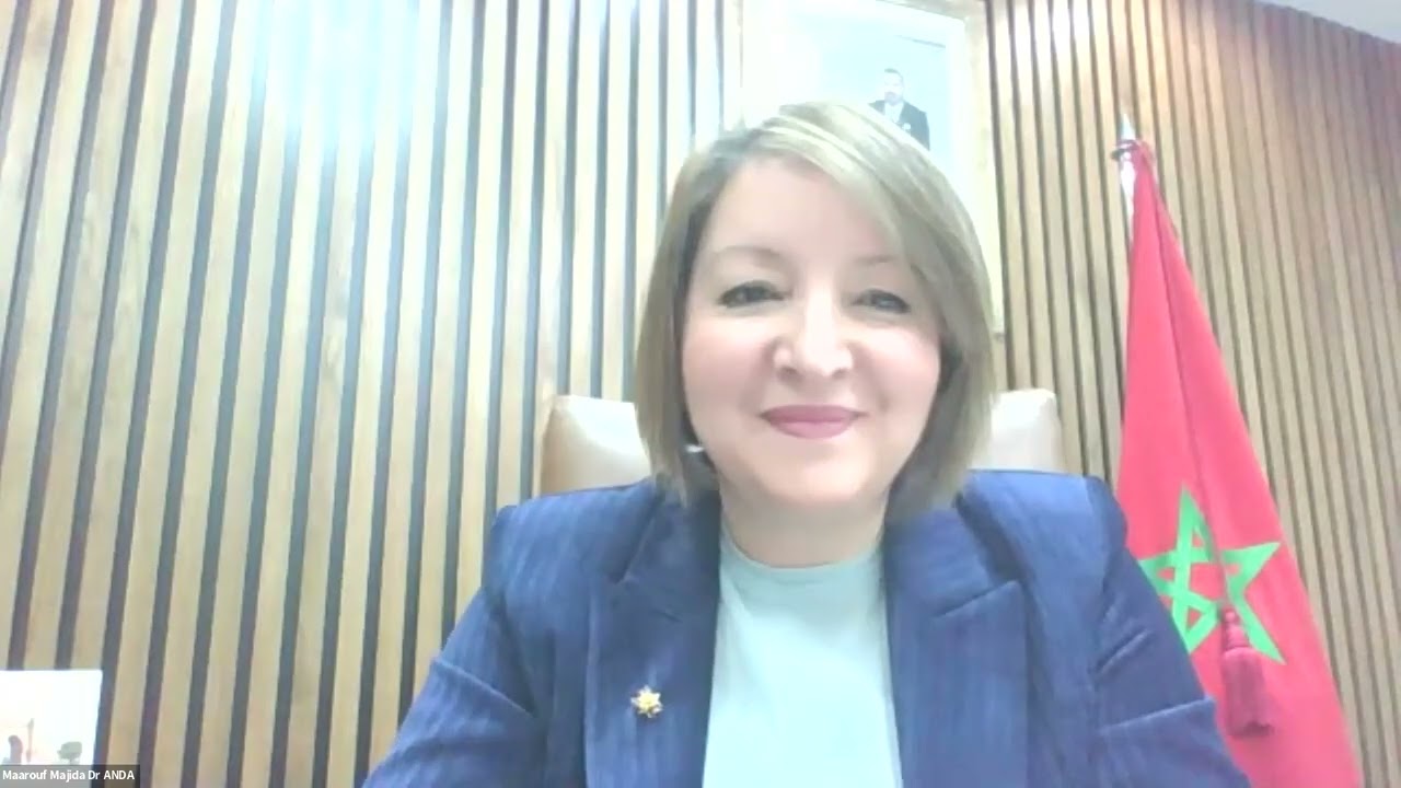 AFSD-2022 Plenary: SDGs under review (SDG 14 and SDG 15
