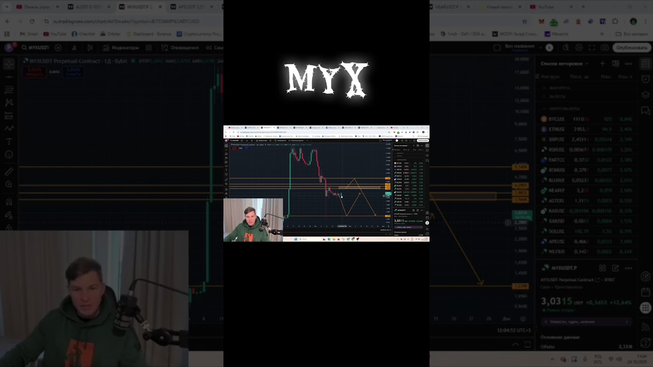 Обзор монеты MYX