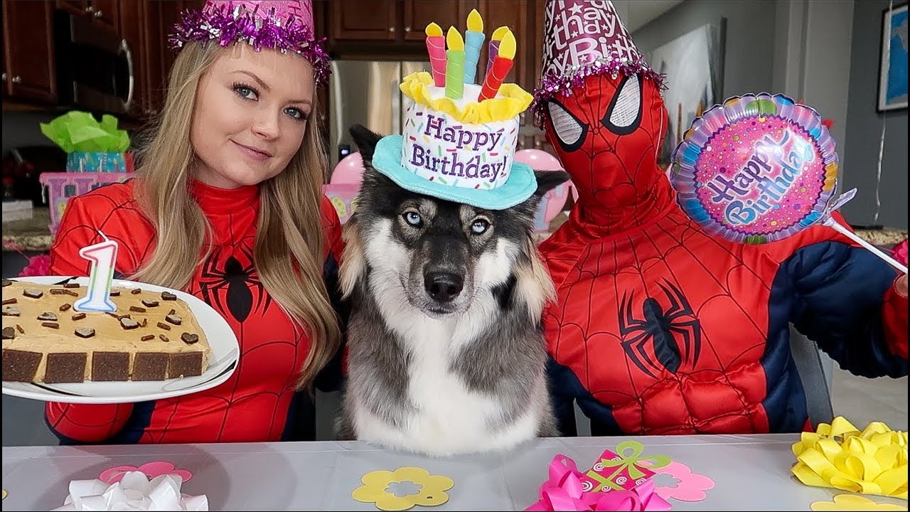 Spiderman & Spider Girl Surpise Kakoa For Her 1st Birthday!