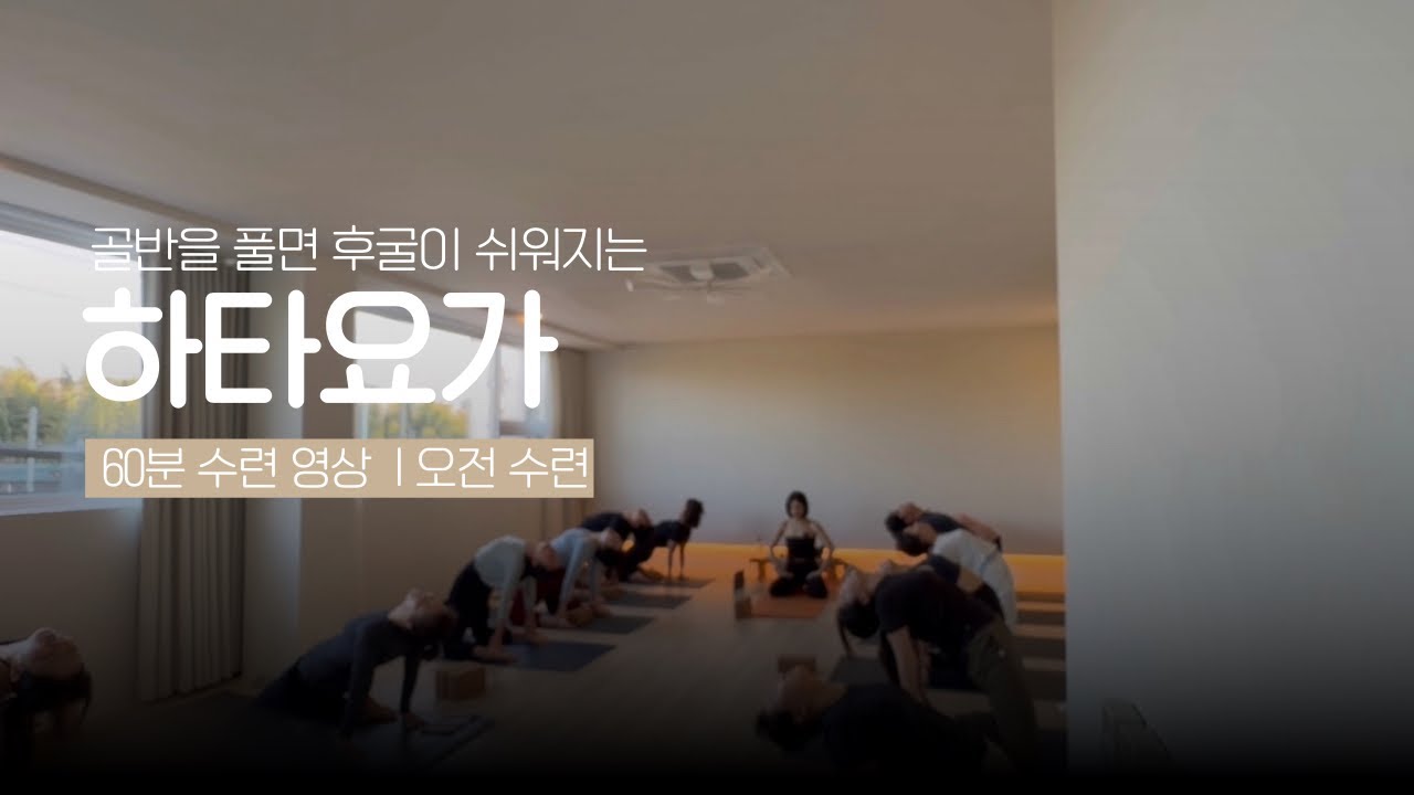 골반 풀고 후굴까지 하타요가 | 60분 오전 수련 영상 | 요가하루 