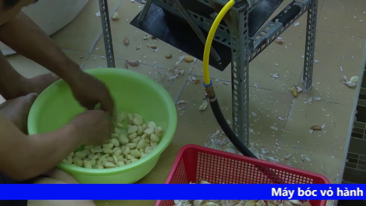 Luồng trực tiếp của Phong Le