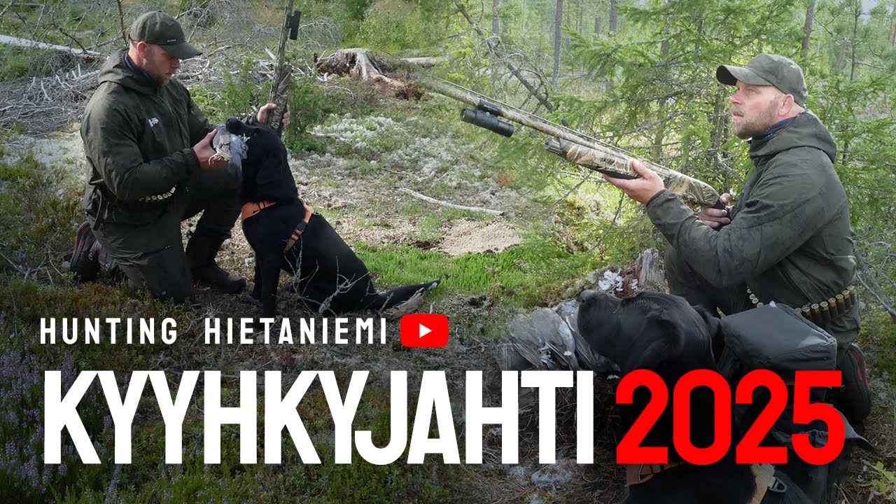 Kyyhkyjahti 2025