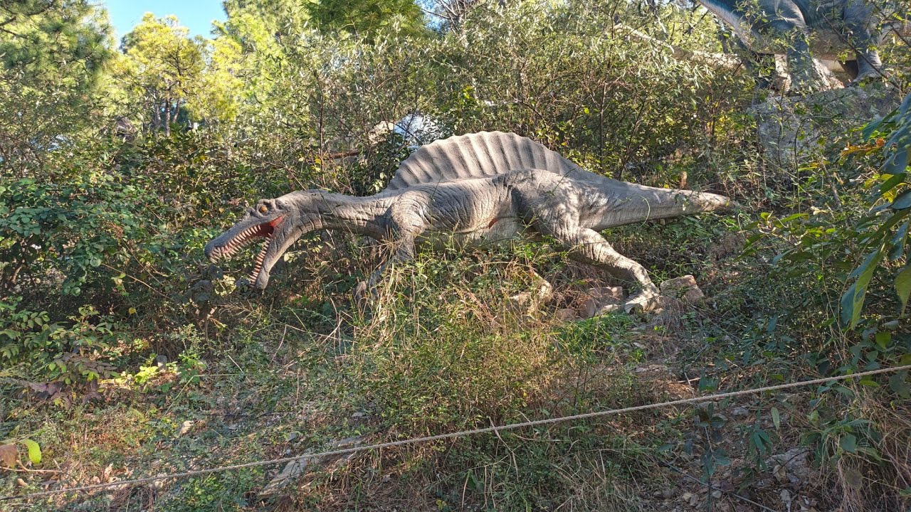 #DinoValley #dinovalleyislamabad #Dino valley pakistan #IslamabadWithKids #FamilyOutingPakistan 