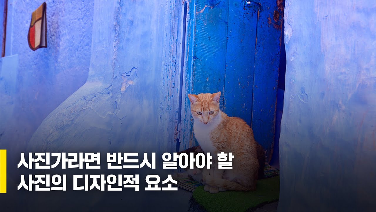 사진가라면 반드시 알아야 할 사진의 디자인적 요소 / 박성욱 작가