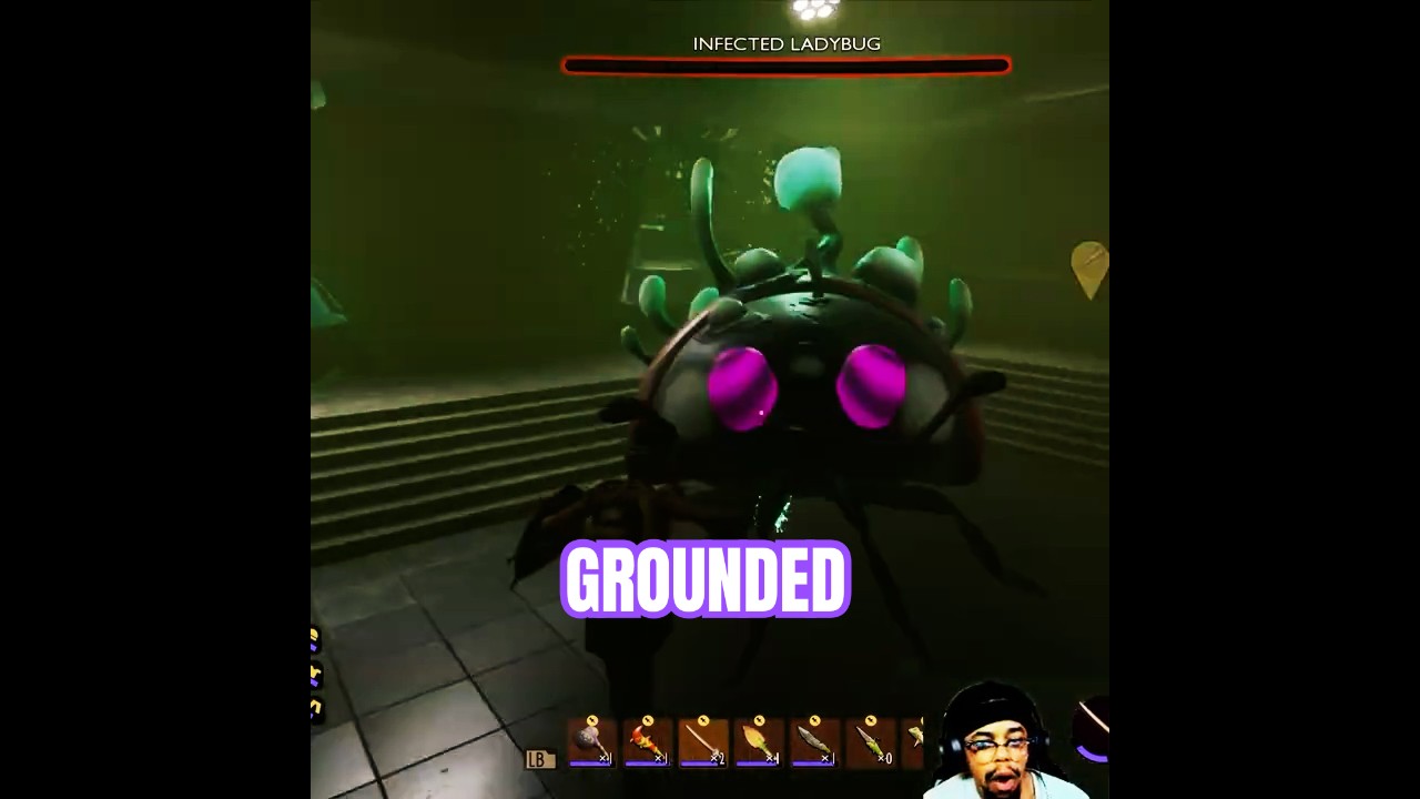 grounded haze lab & black ant lab tape found! 