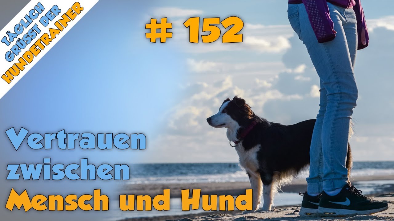 TGH 152 : Vertrauen zwischen Mensch und Hund - Hundeschule Stadtfelle