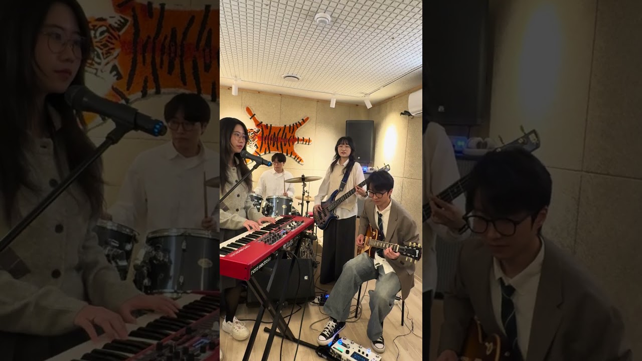 Lines (Live)