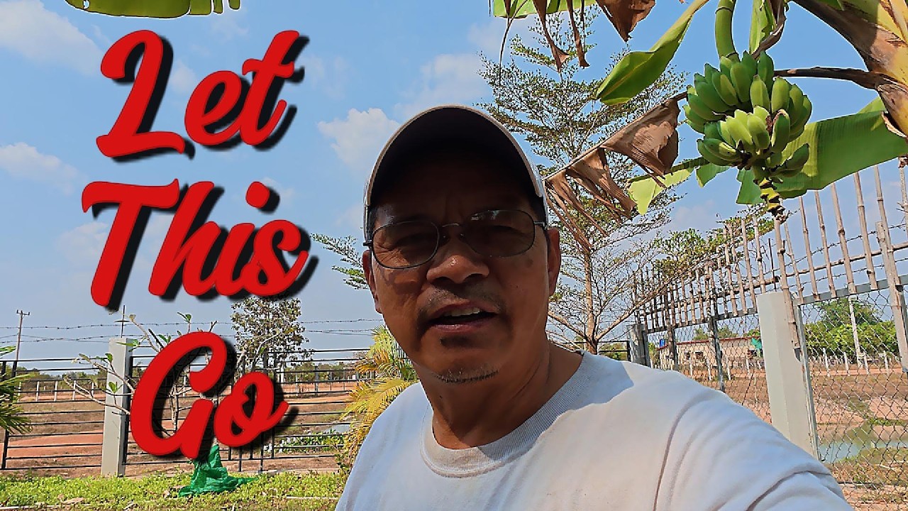 Вышли на пенсию? Откажитесь от этих 10 вещей ради более счастливой жизни.