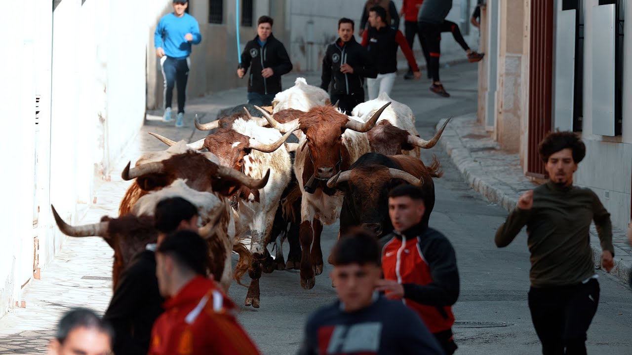 El espectacular ENCIERO de COLMENAR DE OREJA
