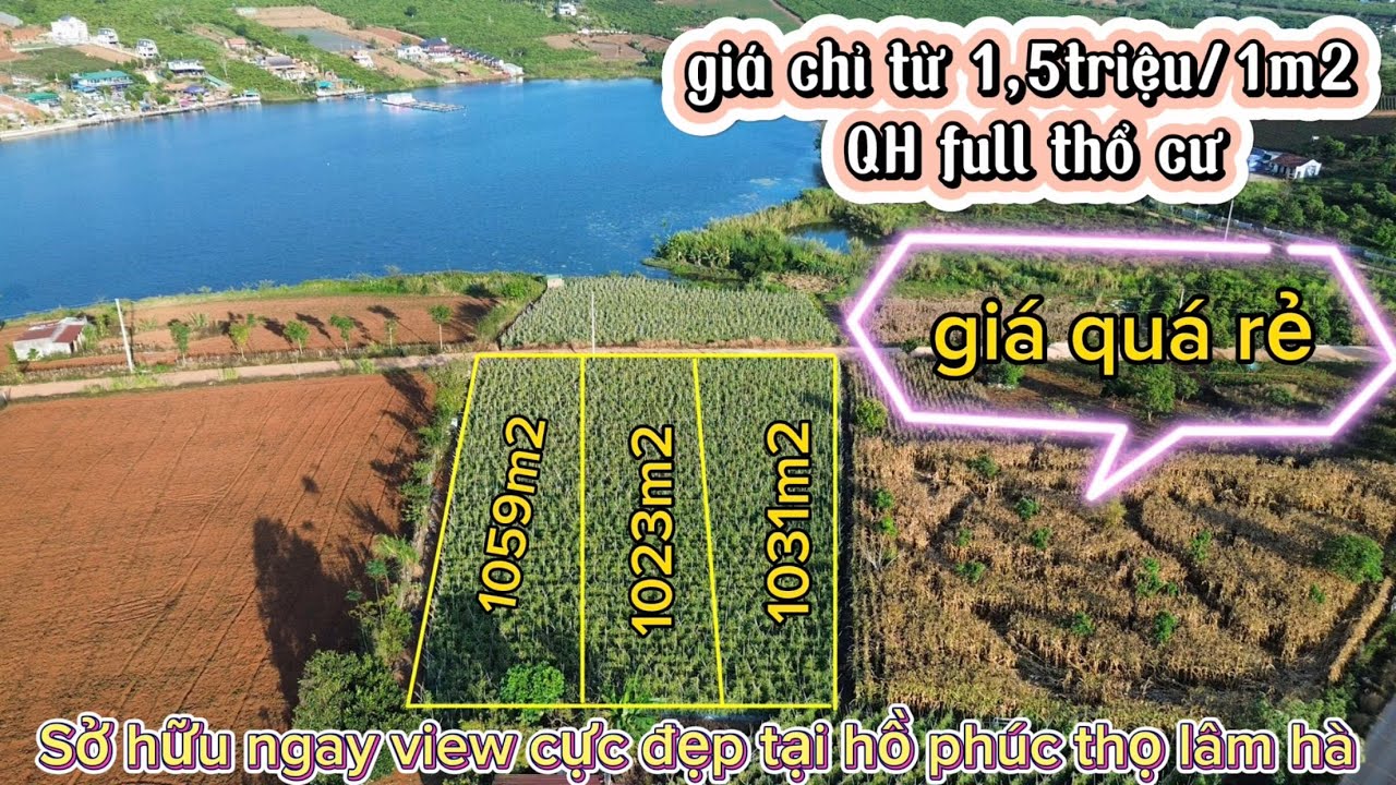 🛑Hồ phúc thọ| 3 lô đất hiếm hoi giá rẻ của hồ phúc thọ lâm hà lâm đồng (đã bán)