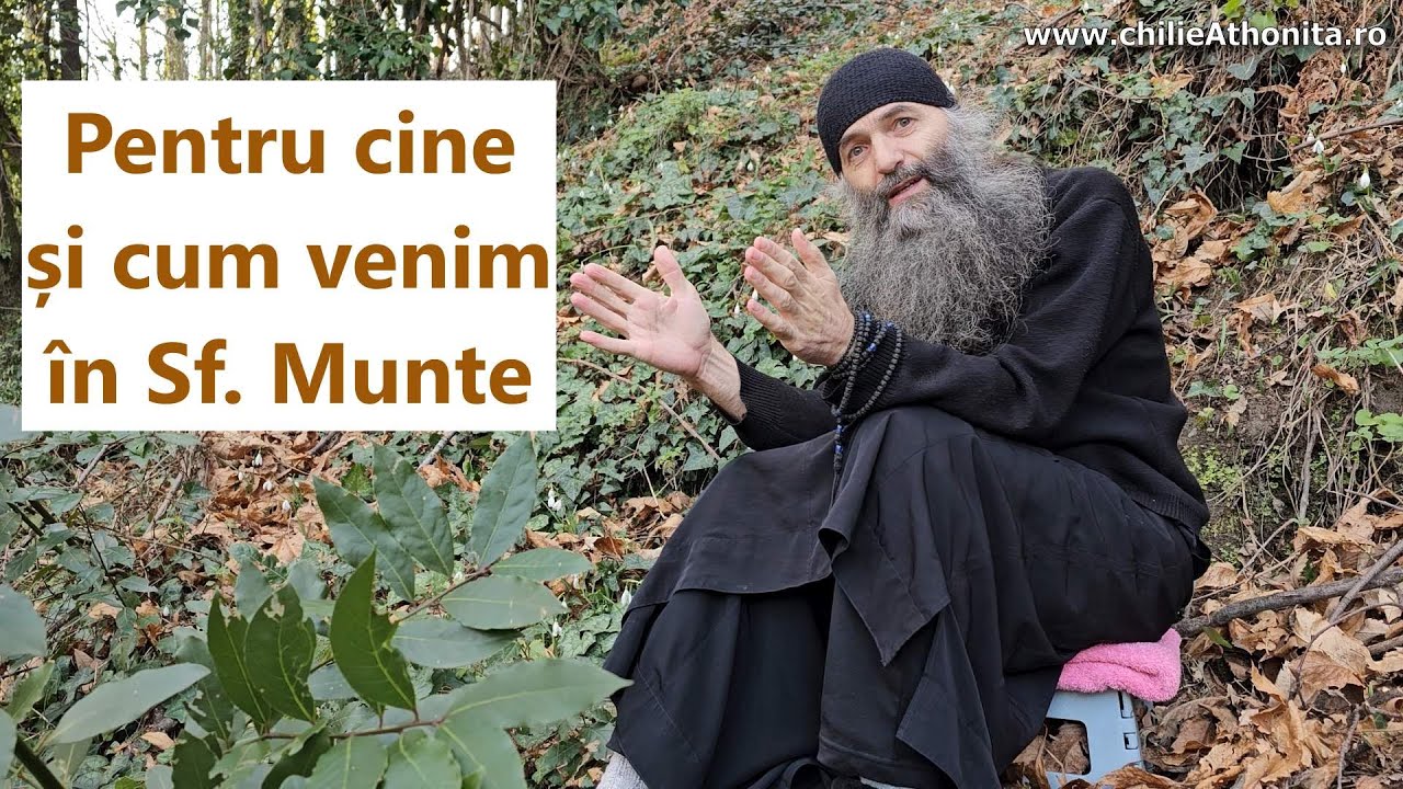 Pentru cine și cum venim &icirc;n Sf. Munte - p. Pimen Vlad