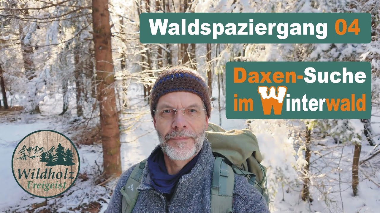 Waldspaziergang  04   - Daxen-Suche im Winterwald