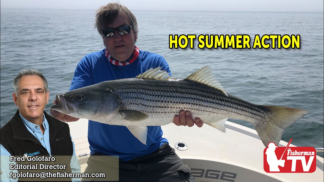 June 25, 2020 HOT SUMMER ACTION Long Island Metro Fishing Report