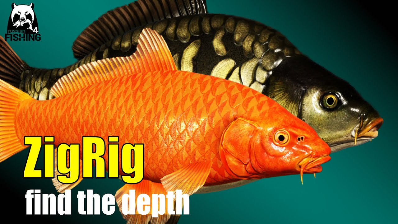 Russian Fishing 4 - Copper Lake - Zig Rig & Float Koi Spot, testing depth, understanding temperature