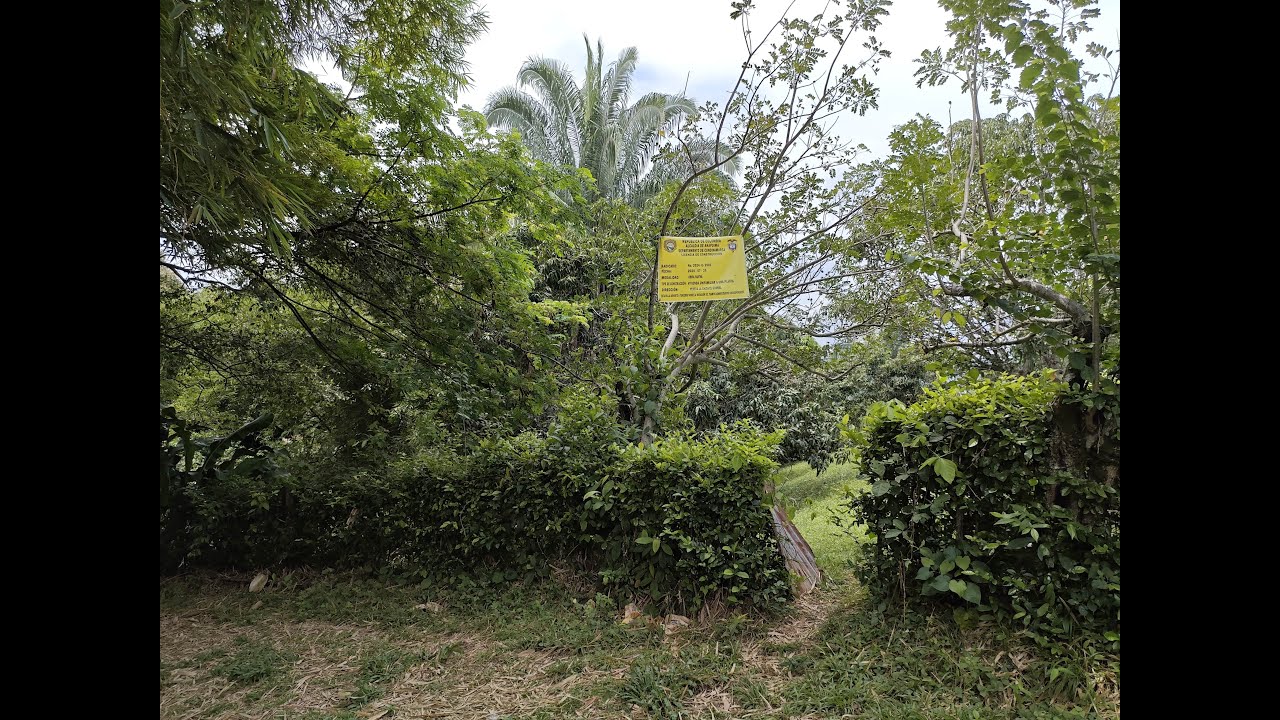VENDO LOTE ANAPOIMA CUNDINAMARCA 1000 M2 CON LICENCIA APROBADA PARA CONSTRUIR UNA CASA DE 100 M2