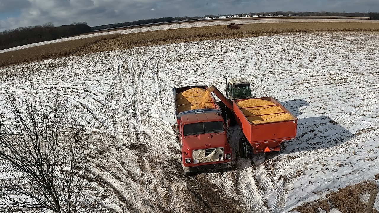 Farmer Bob - Winter Corn Harvest Chasing - CASE IH 1666 - 4694 - Paystar 5000 Cummins Power - 4K