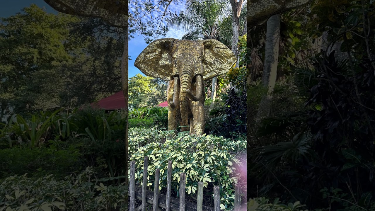 MIAMI ZOO