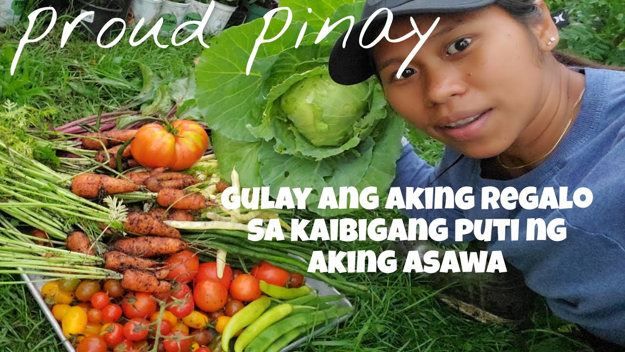 Nagdala at nagregalo ako ng Gulay sa Kaarawan ng aming kaibigang Puti dito sa Canada