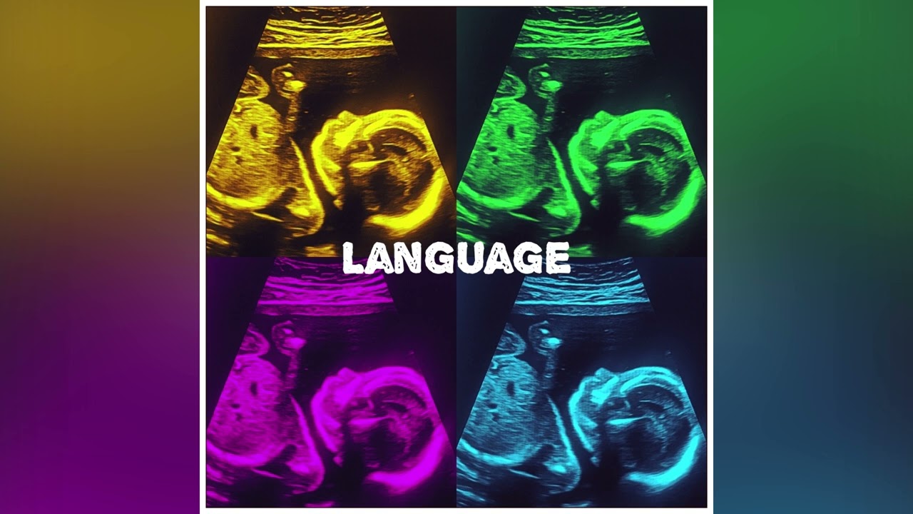 Language