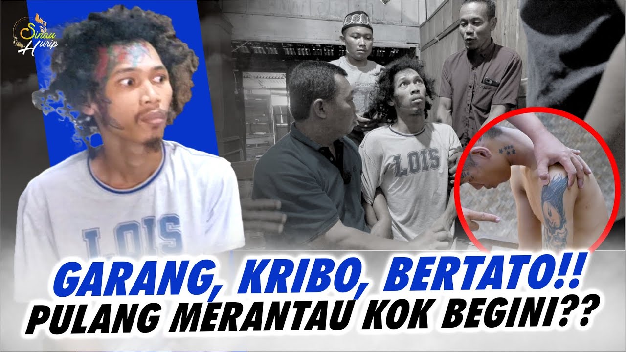 TATO seorang WANITA❓😨❗️APA HUBUNGAN TELPnan-INGIN KAYA-TATO WANITA CANTIK ❓❗️