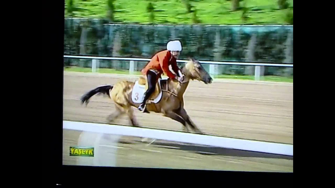 Symbolic race to support Akhal Teke Horse breeding and equine sports in Turkmenistan