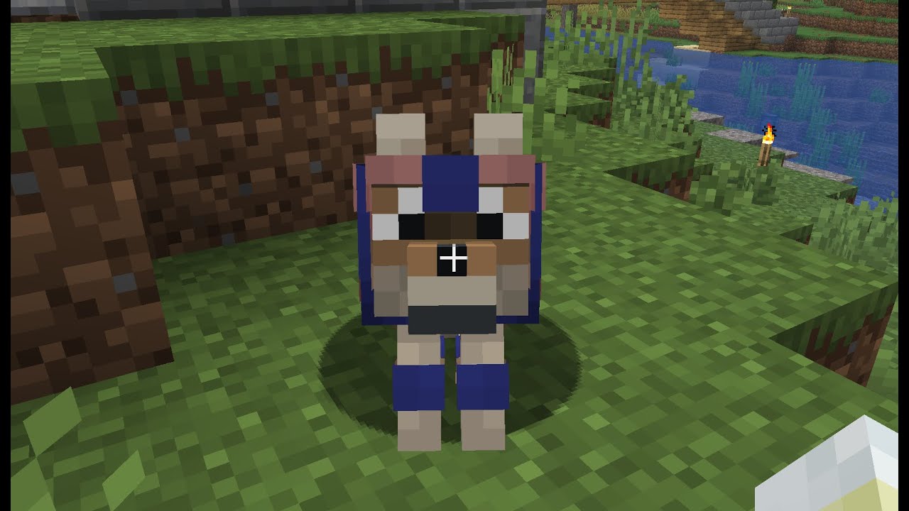Puppy and Armor!